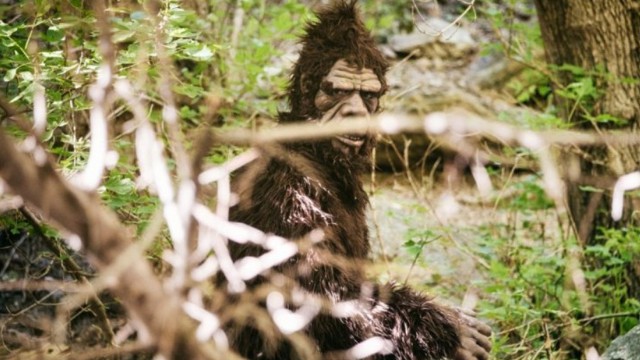 ประวัติศาสตร์ที่ถูกซ่อนเร้น-เมื่อทหารอเมริกันเจอบิ๊กฟุตในสงครามเวียดนาม