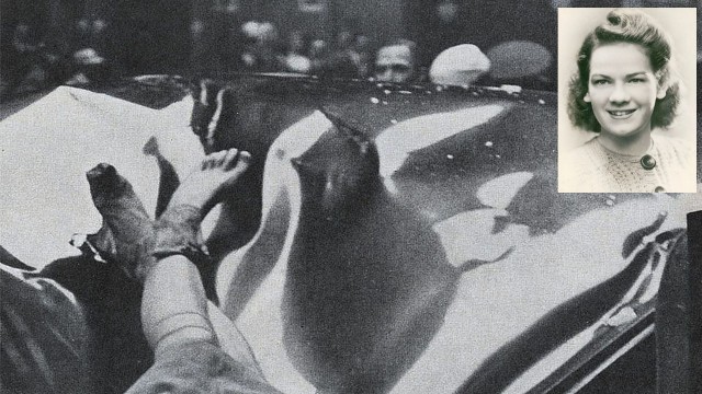 โศกนาฏกรรมของเอเวลิน-แม็คเฮล:-หญิงสาวเบื้องหลังภาพ-“การฆ่าตัวตายที่งดงามที่สุด”